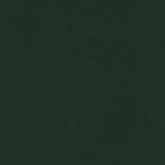Spruce