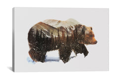 ARCTIC GRIZZLY BEAR by Andreas Lie