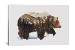 ARCTIC GRIZZLY BEAR by Andreas Lie