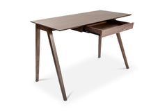 Aerin Writing Desk