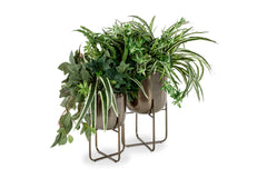 Albert Planter SET OF 2 BLACK
