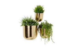 Ava Planter SET OF 3 GOLD