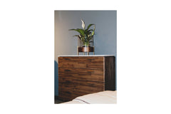 Albany Chest