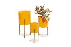 Ivy Planter SET OF 3 YELLOW