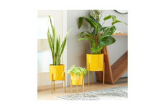 Ivy Planter SET OF 3 YELLOW