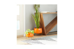 Pothos Planter SET OF 2