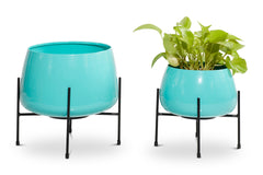 Pothos Planter SET OF 2