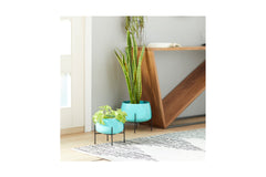 Pothos Planter SET OF 2