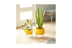 Pothos Planter SET OF 2