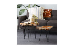 Wade Side Table SET OF 2