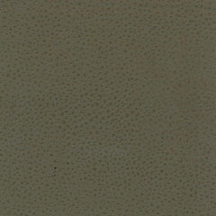 Olive Leather