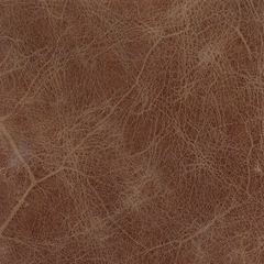 Antique Brown Leather