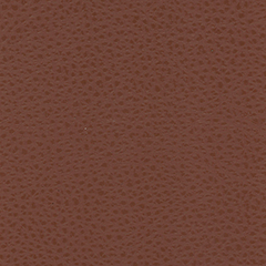 Saddle Brown Leather