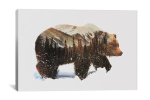 ARCTIC GRIZZLY BEAR by Andreas Lie