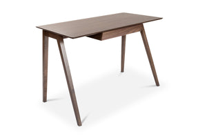 Aerin Writing Desk