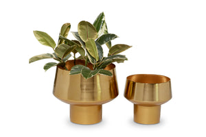 Aloe Planter SET OF 2