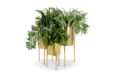 Cobb Planter SET OF 3 GOLD