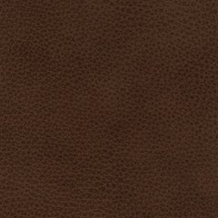 Chestnut Leather